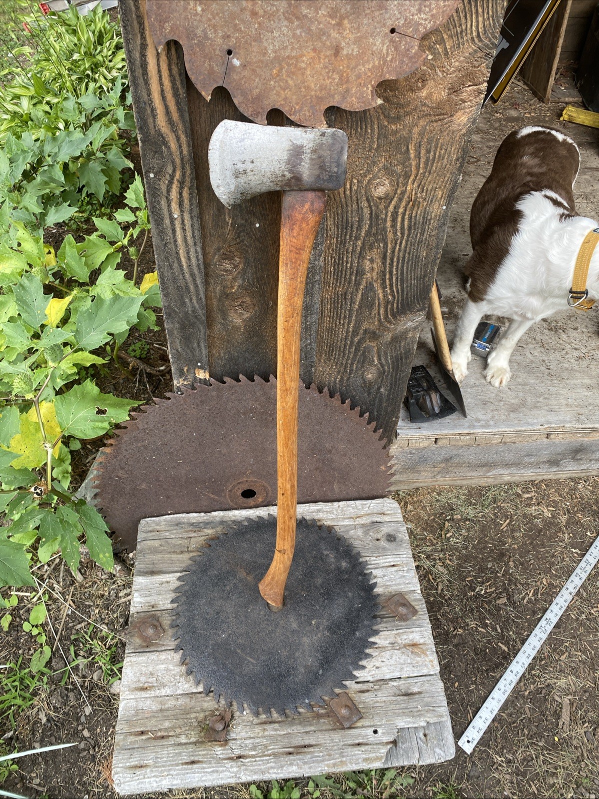 Nice Vintage Collins Bonded Single Bit Axe 🪓W/Nice 34”Handle