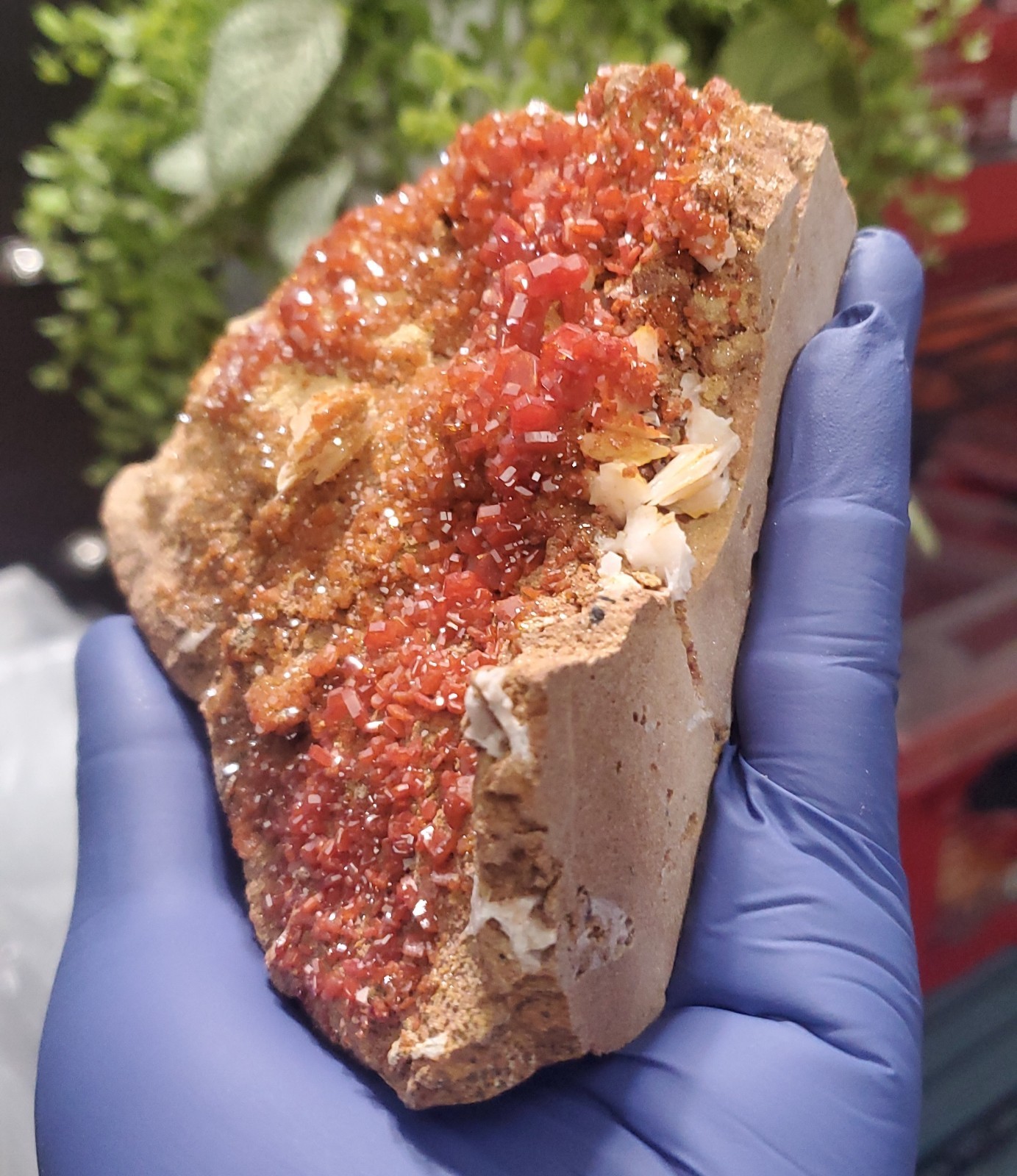 Vanadinite Crystals on Matrix - Mibladen, Morocco (458g)