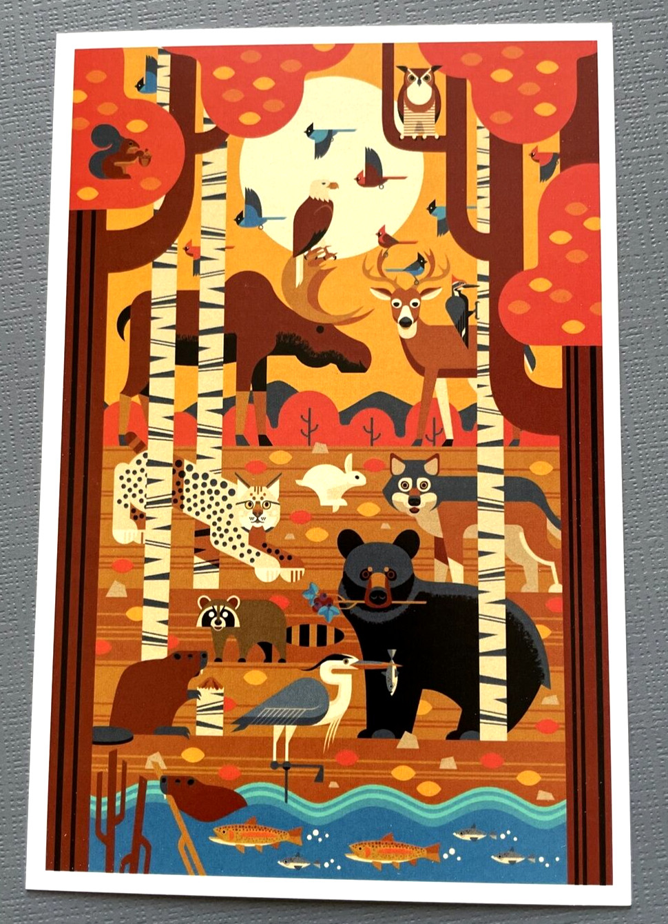 Woodland Forest Animals - Geometric - Lantern Press Postcard