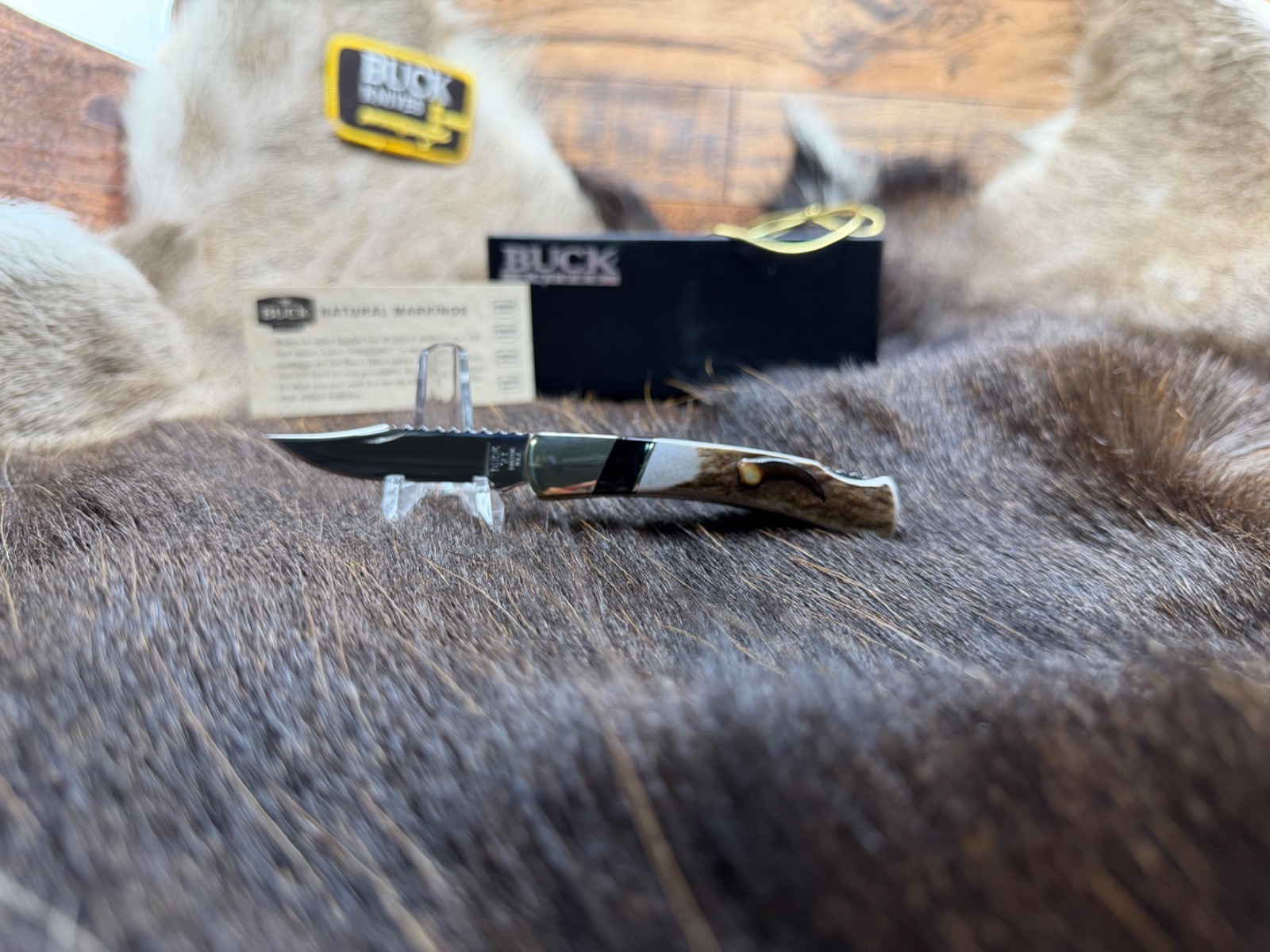 2009 Buck WBC 503 Knife Stag Handle Stainless Blade With Bear Claw Mint In Box