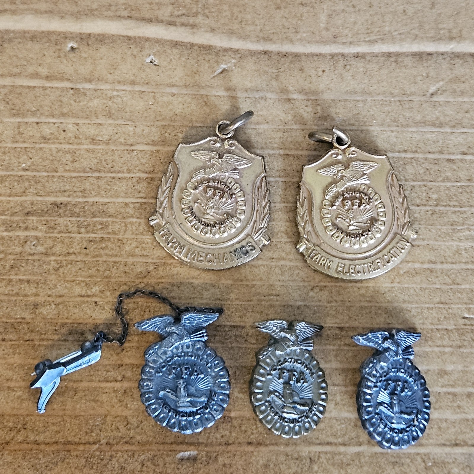Vintage Future Farmers Of America FFA Pins Lot of 5