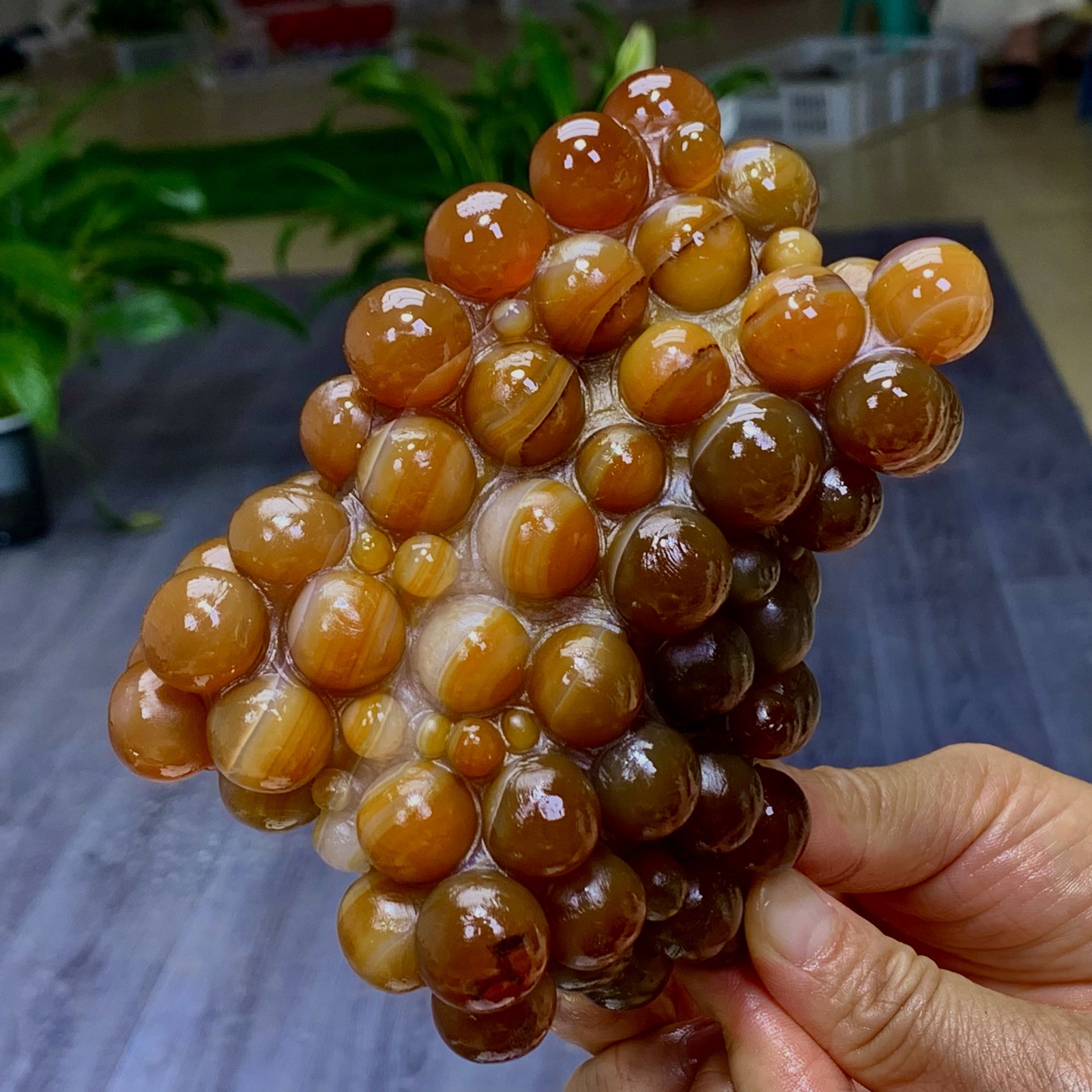 2.66LB Natural Gobi Agate Eye Agate grape shape Crystal Madagascar mineral
