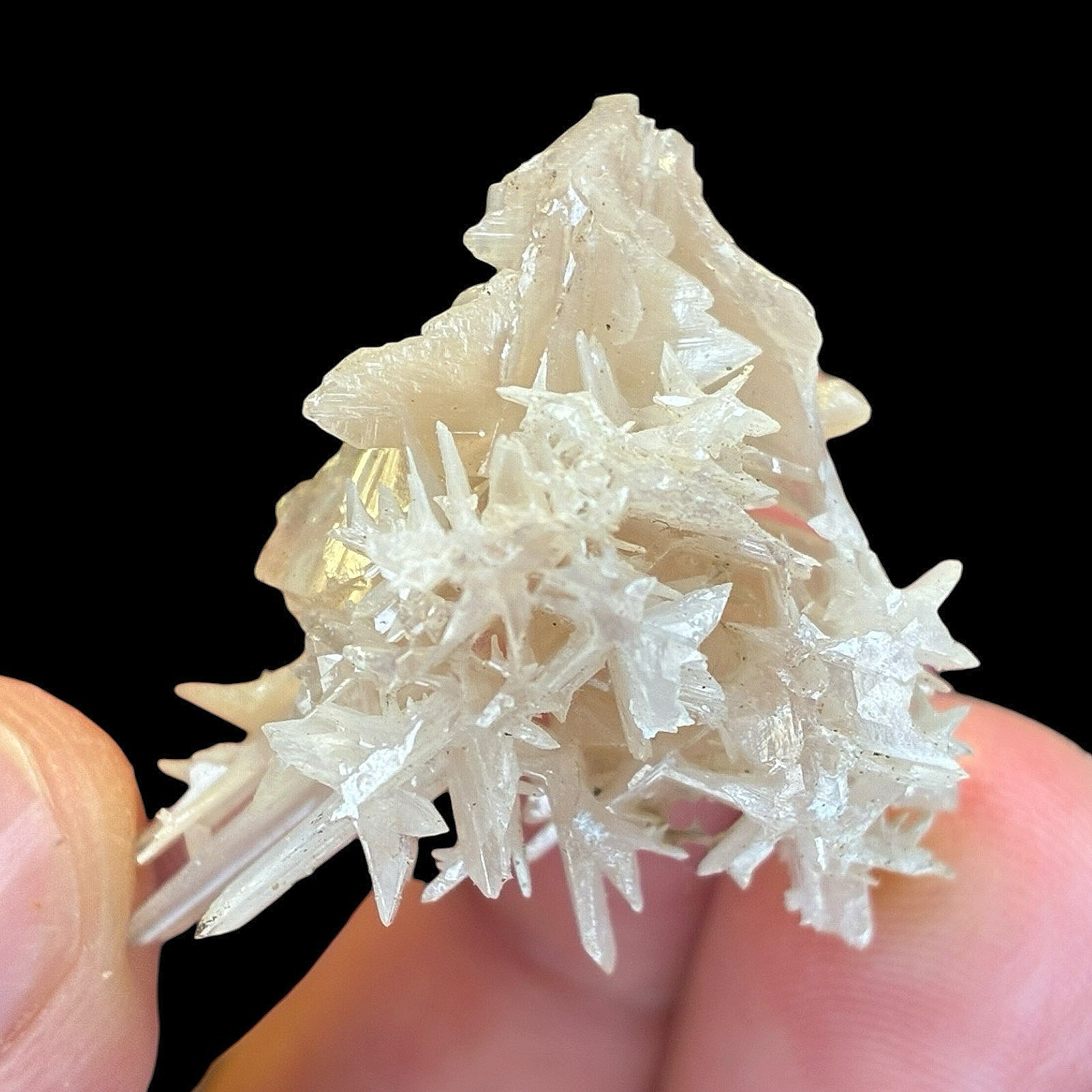 Snowflake Cerussite Twin Crystal Cluster on Galena Matrix Mineral Display Specim