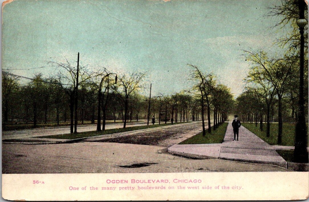 Ogden Boulevard Chicago IL Trees Electric Lines Poles Trolley Postcard c1910