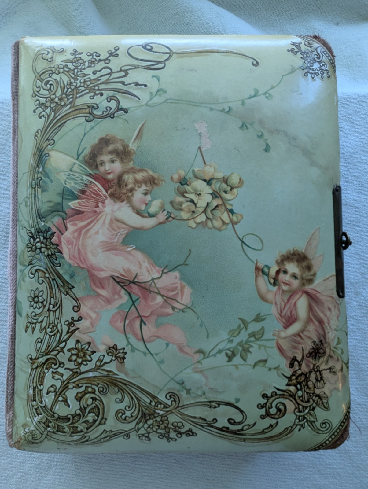 Antique Victorian Celluloid Photo Album Runkle Family Urbana Ohio Tintype