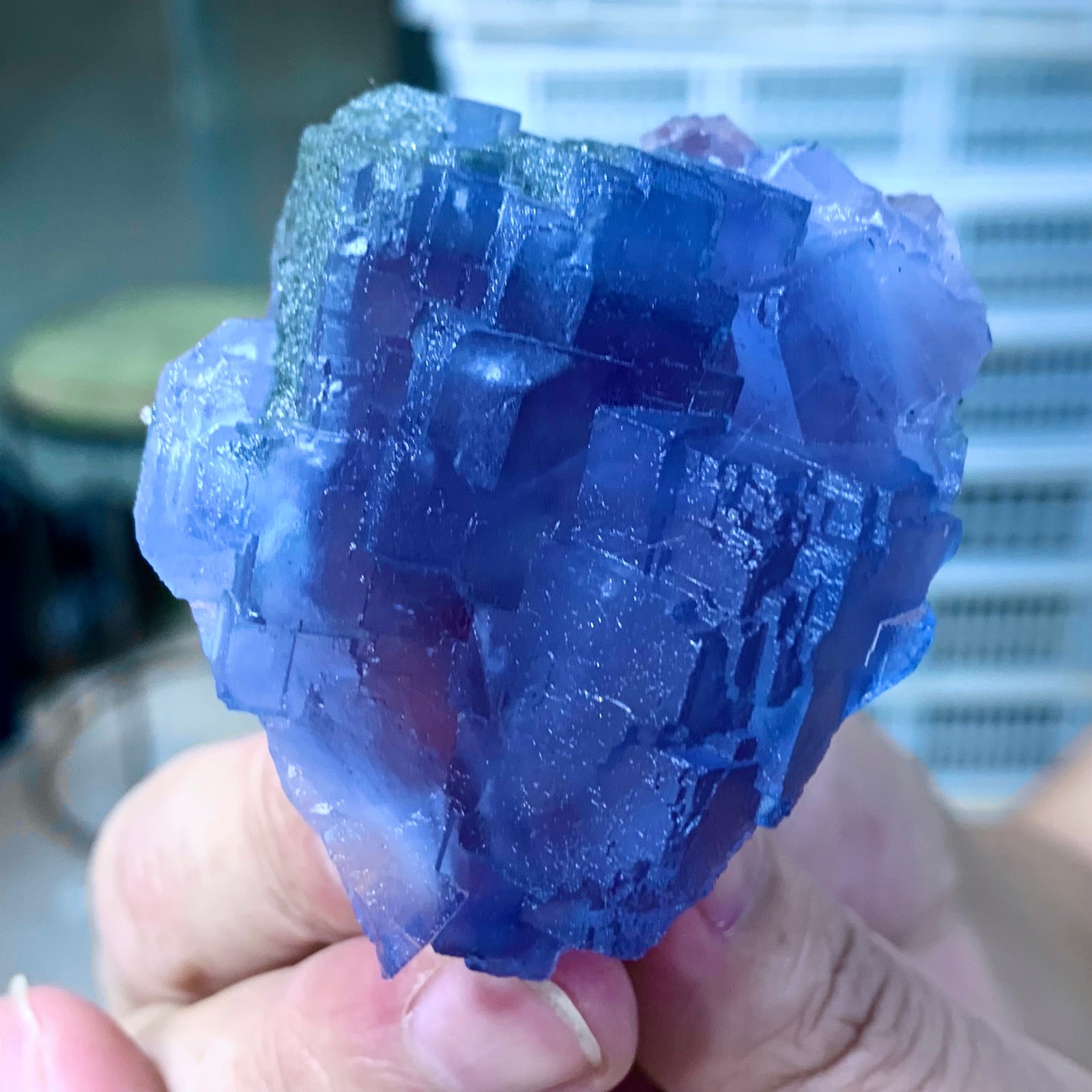 136G Natural Crystal Rare transparent blue cubic fluorite sample/China