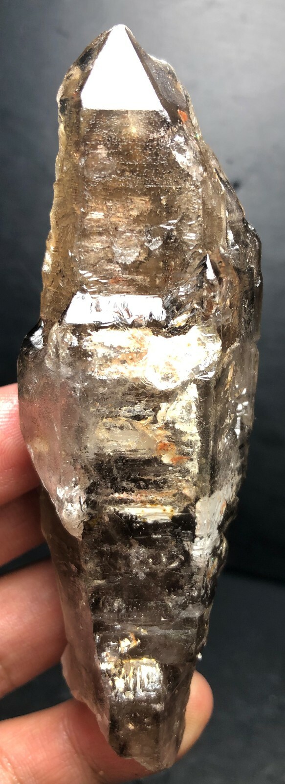 136g 1 Diamond Grade SCEPTERSSuper Seven Skeletal Amethyst Quartz Crystal  X60