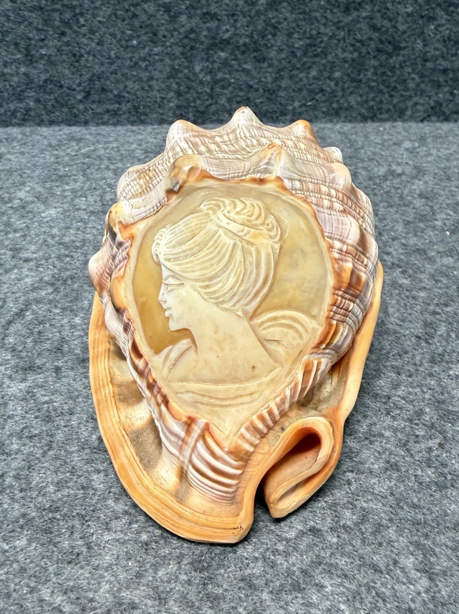 VTG Beautiful Hand Carved Italian Cameo Queen Conch Seashell 5\