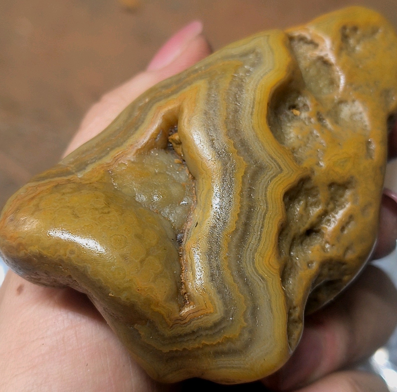 Amazing Natural Agate Rough Tennessee Crowley's Ridge Specimen Mineral Rock