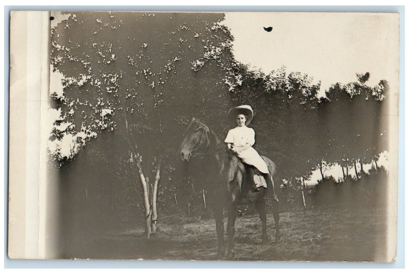 1908 Horse Cowboy Exterior View Madison Minnesota MN Antique RPPC Photo Postcard