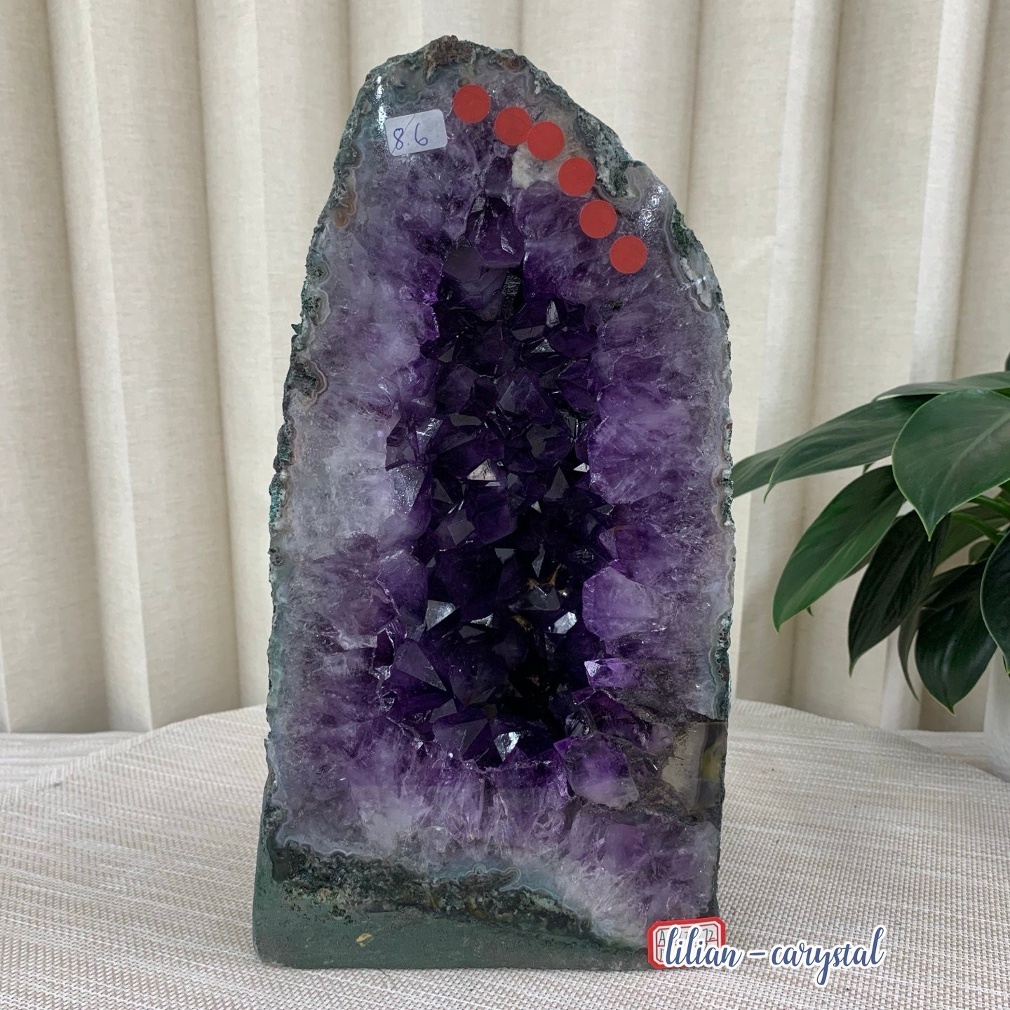 18.9LB Natural Amethyst Cathedral English Cluster Crystal Specimen Healing