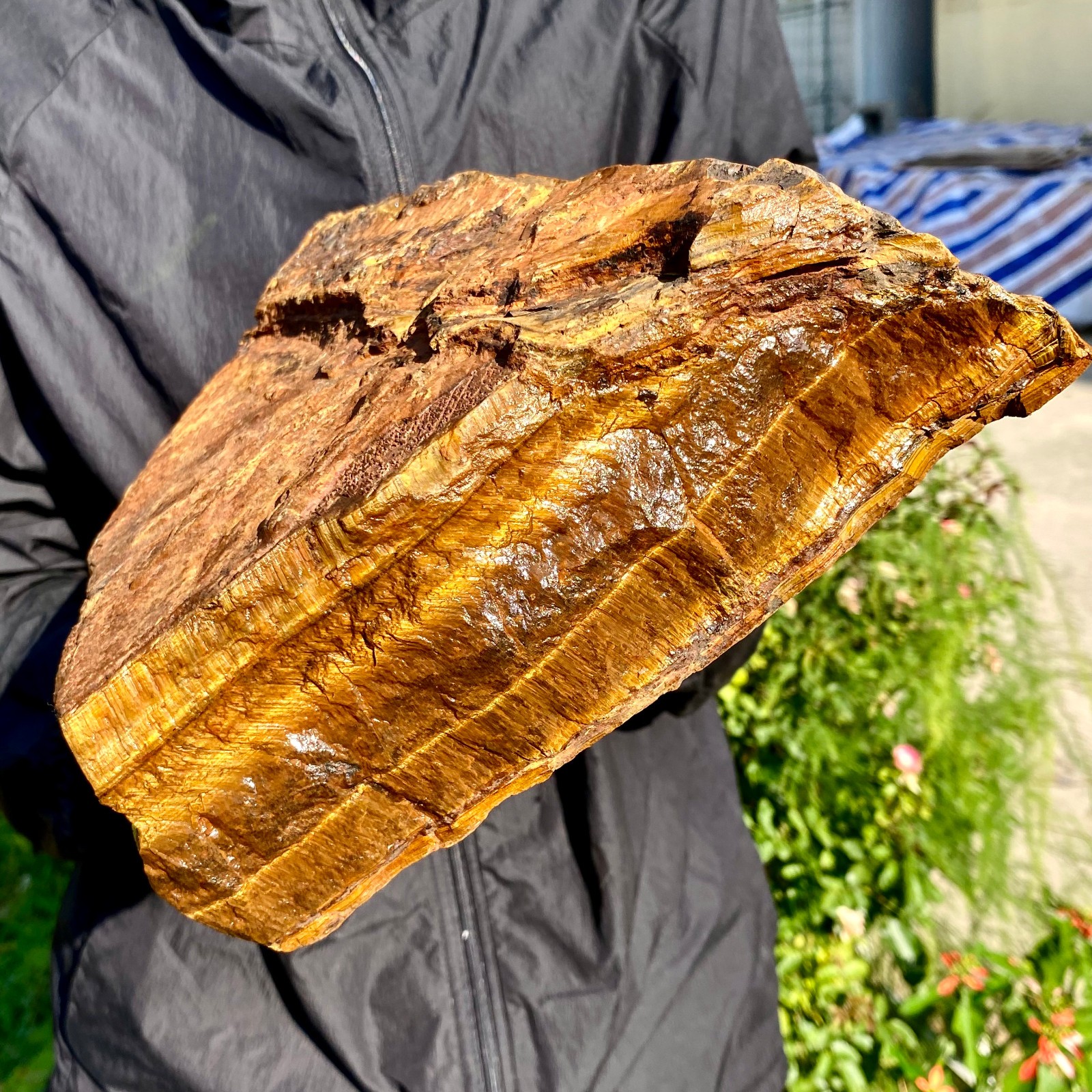 12.43LB Natural tiger's Eye rough raw stone rock specimrn madagescar