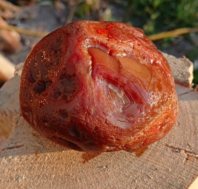 10 Oz Red Banded Agate LSA,  Nodule, Pealer, Killer
