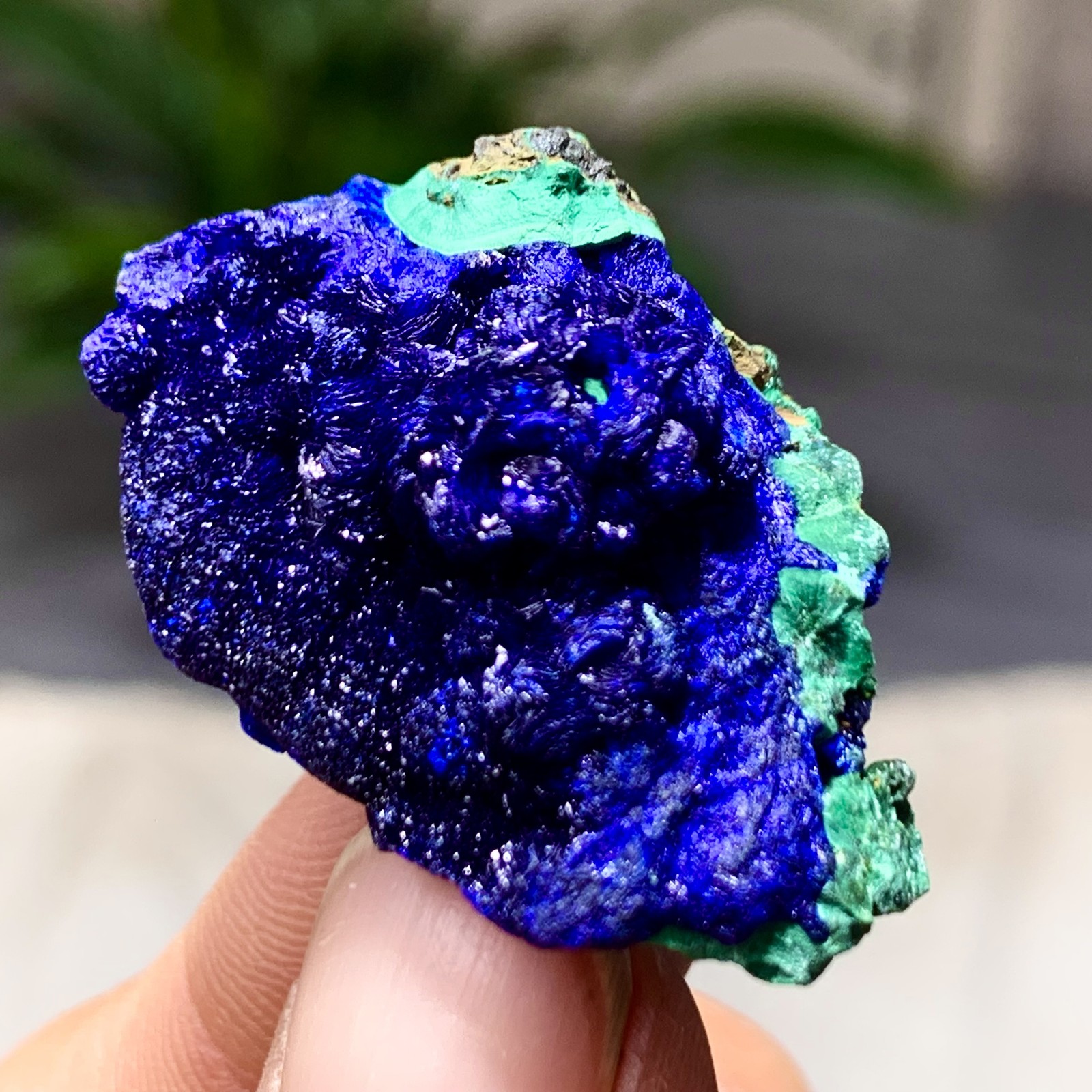 12G Best Natural Azurite/Malachite raw Crystal Mineral Specimen