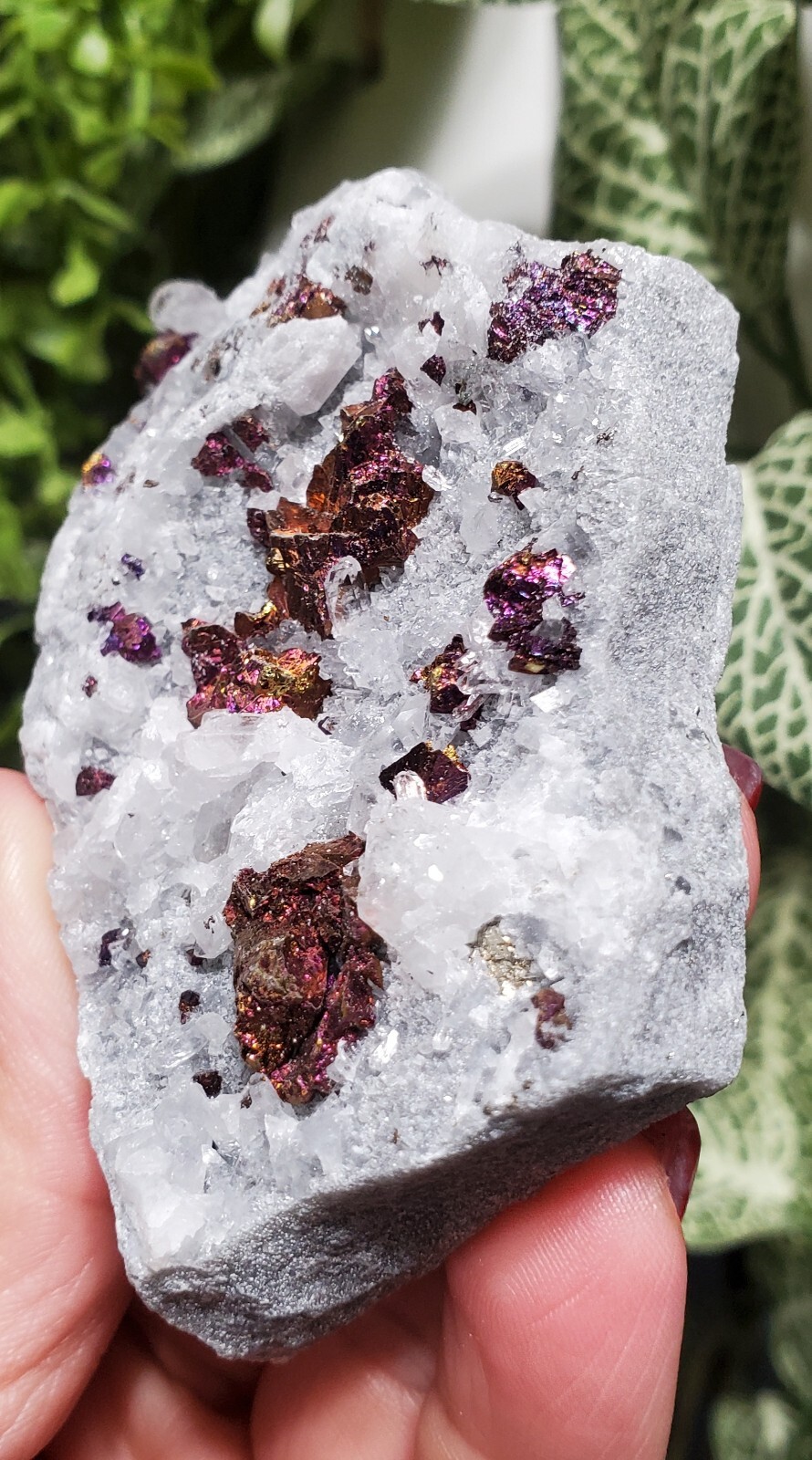 130G Natural Colorful Chalcopyrite  Crystal Cluster  Mineral Specimen 