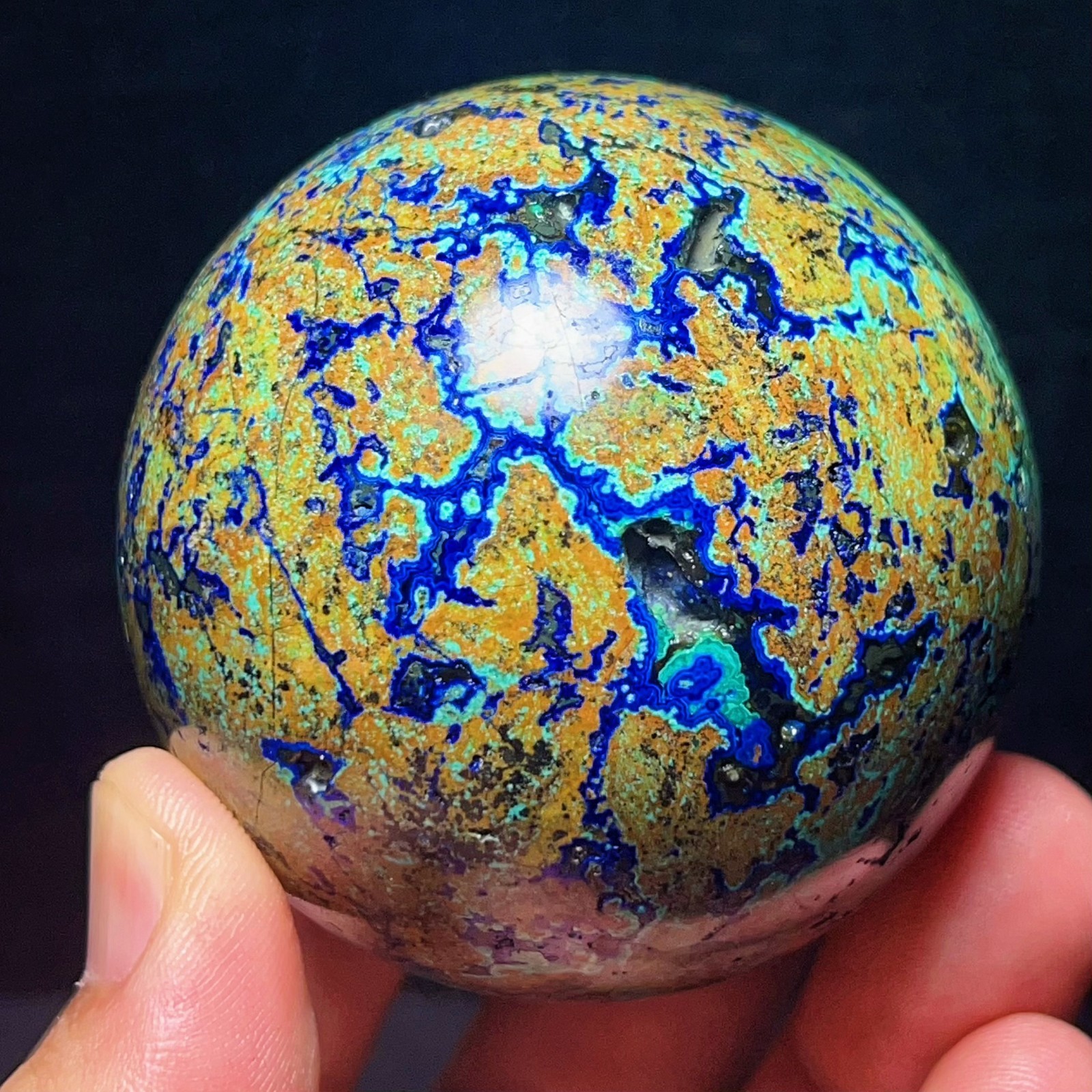 Natural Blue Copper Mine Phoenix Pine Symbiosis Sphere  Healing  L8695