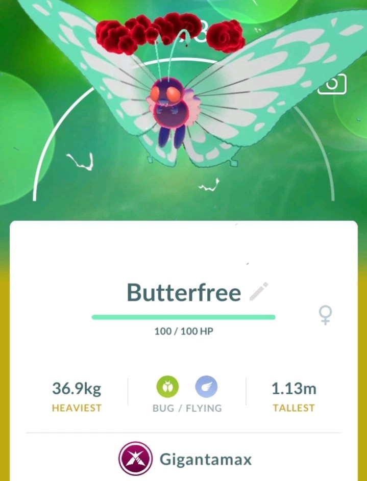 🪲🪽 Gigantamax Butterfree Trade 🔄 - Pokémon Go