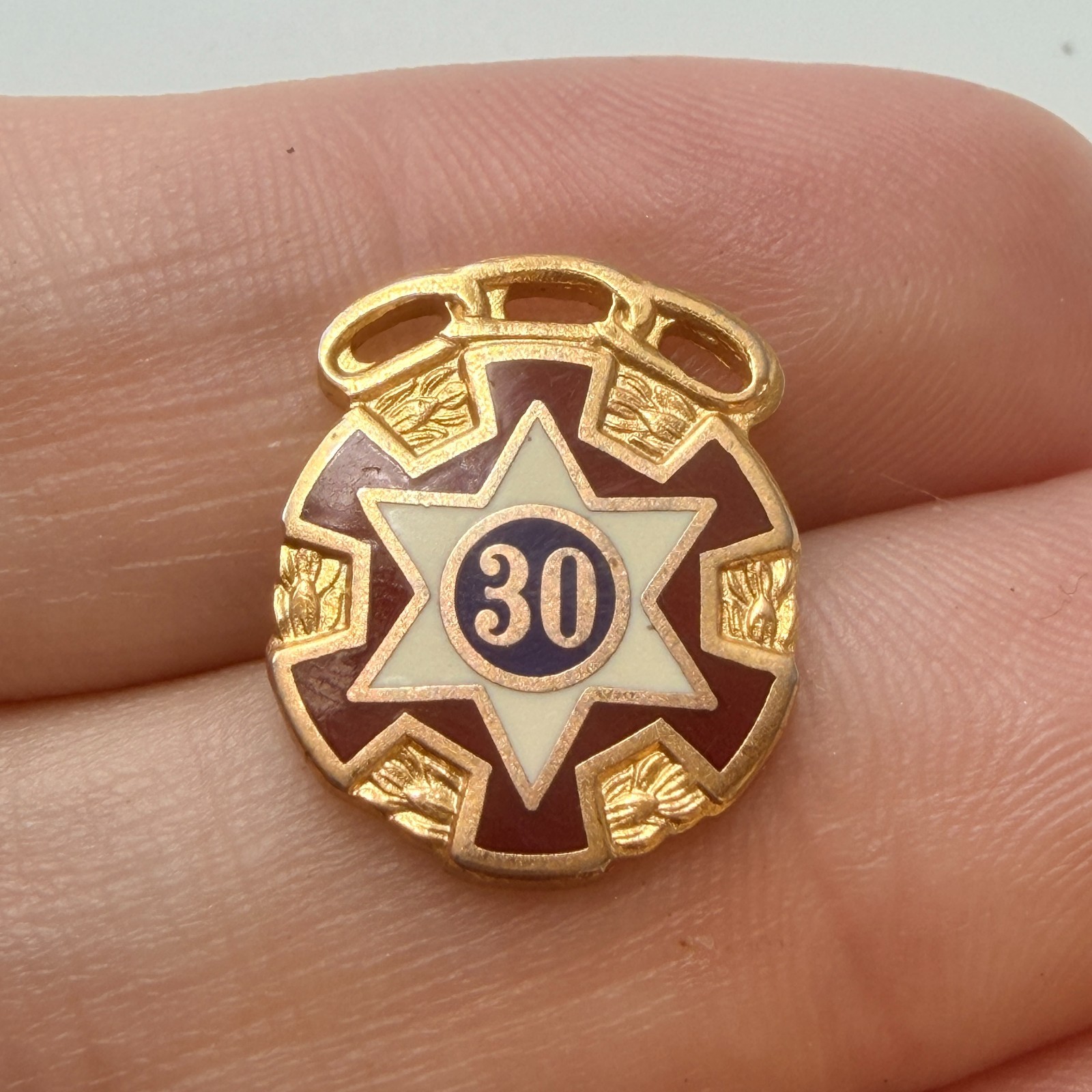 IOOF 30 Years Service Star Lapel Pin Independent Order Of Odd Fellows Vintage