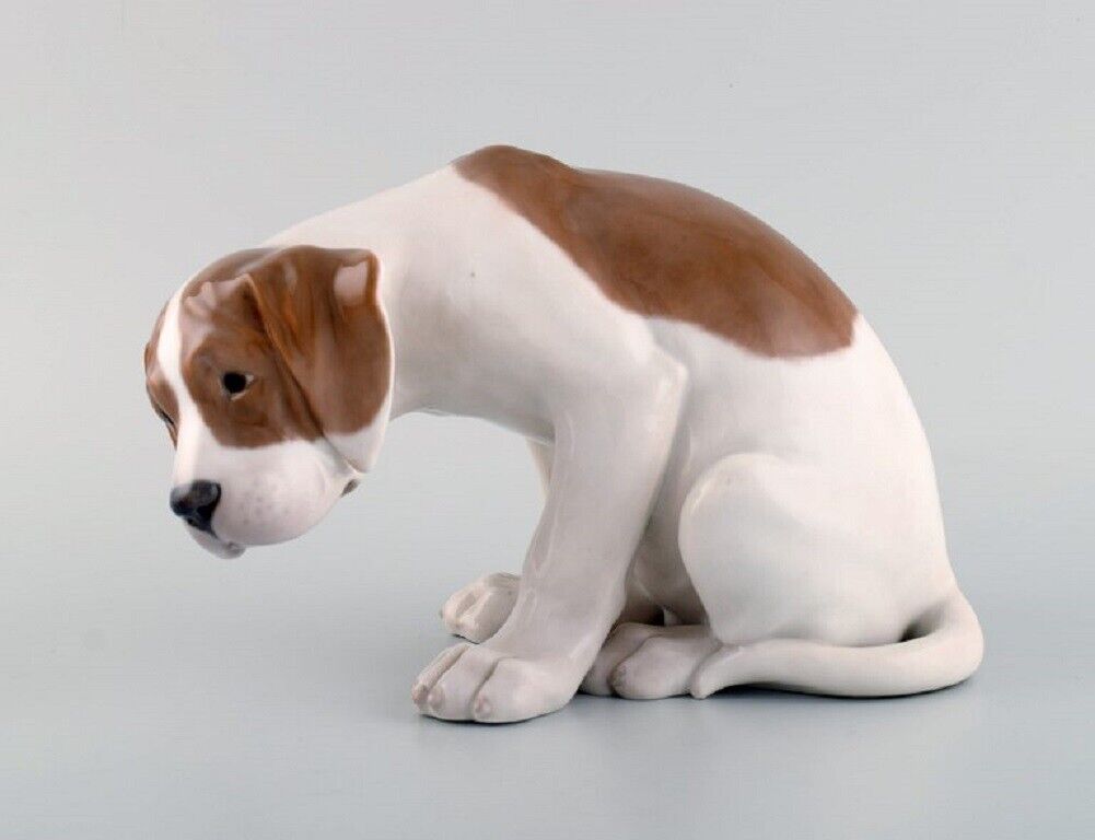 Rare Royal Copenhagen porcelain figurine. Labrador puppy. 1920's