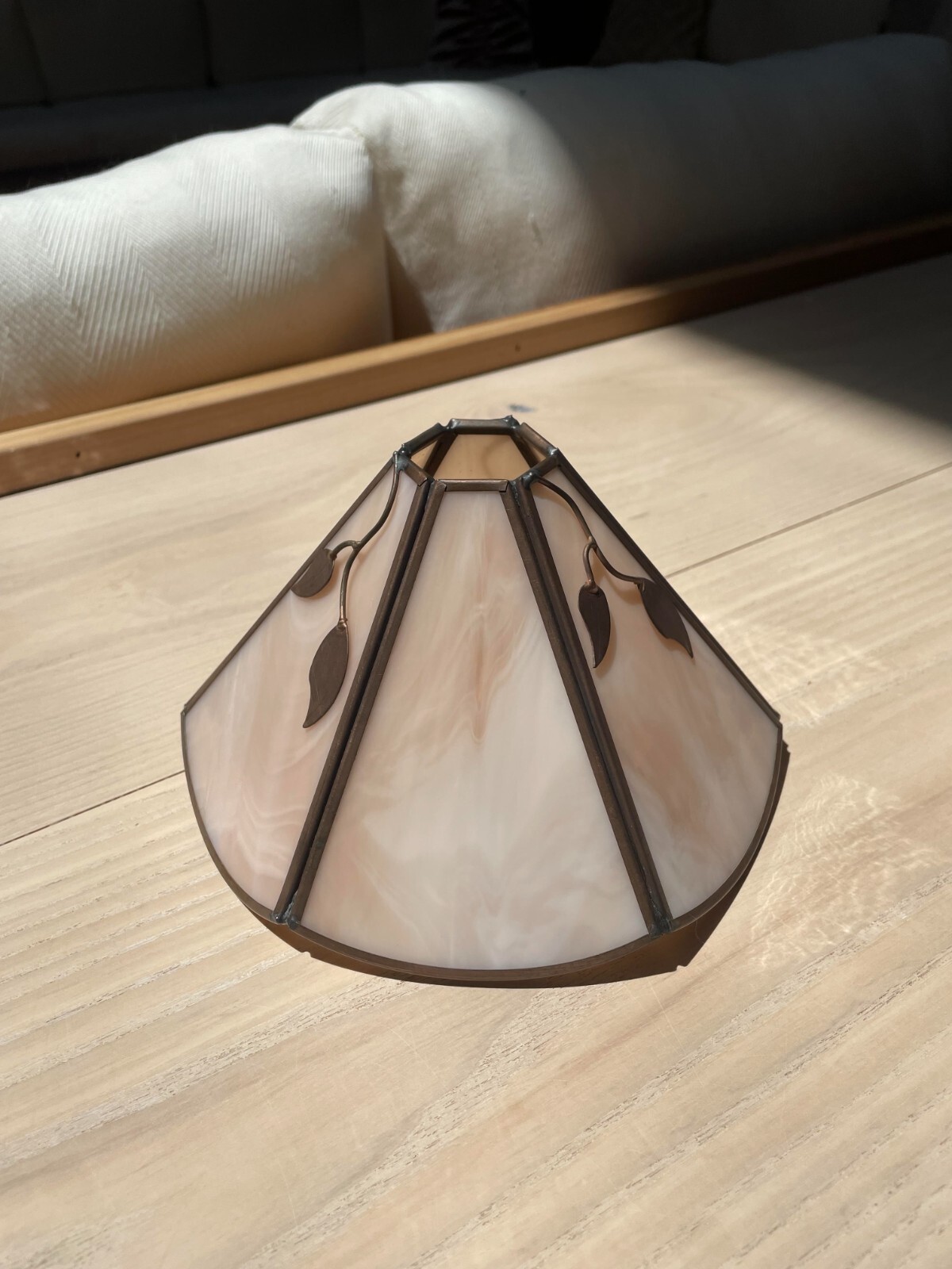 Viva The Evolution Handmade Decorative Lamp Shade