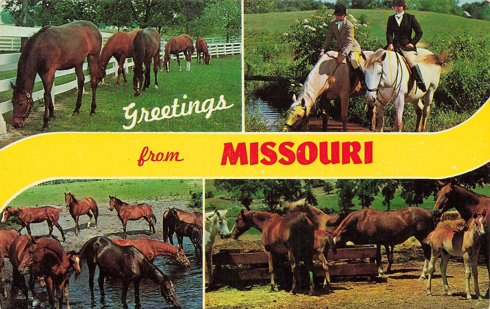 Vintage Missouri Postcard Missouri Unposted