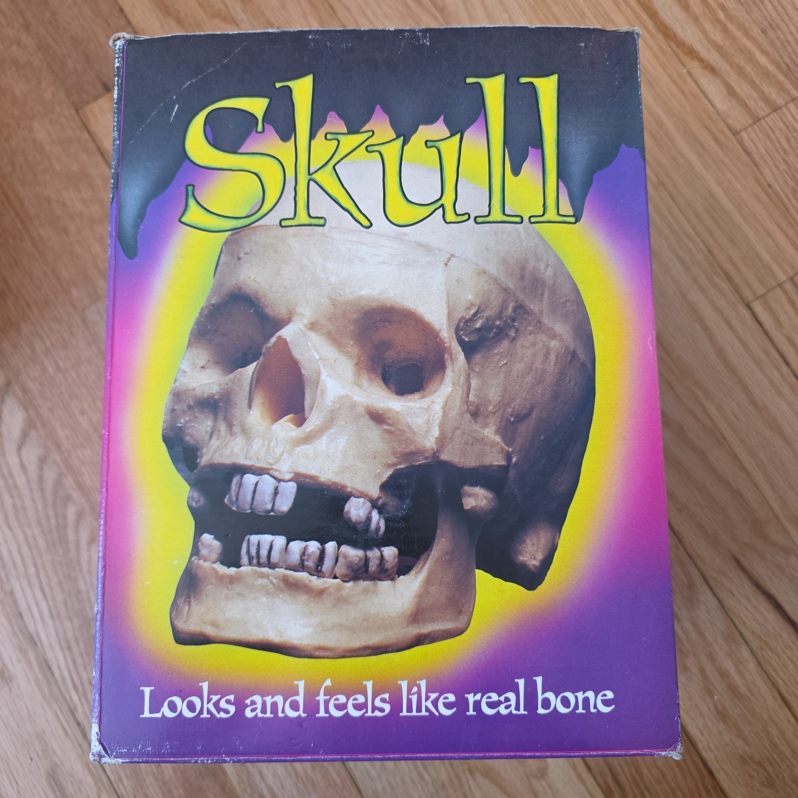 Vintage Topstone Industries Halloween Realistic Skull Prop Life Like Size Retro
