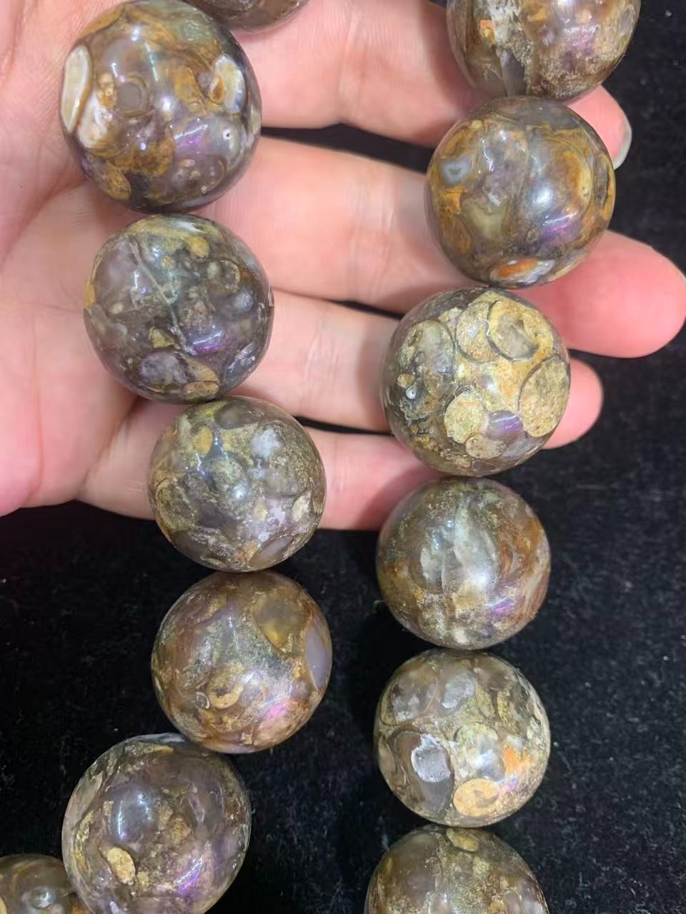 Wonderful Large Tibetan Old Natural Fossil Conch Dzi 24mm Beads Long Bracelet