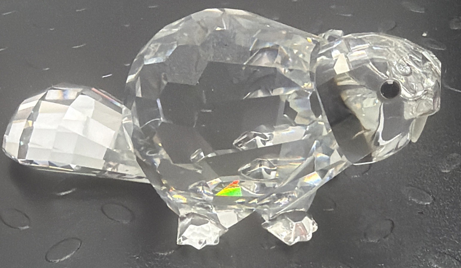 Swarovski Crystal Mother Beaver Box COA HAND SIGNED Adi Stocker 164637 Mint: 7A3