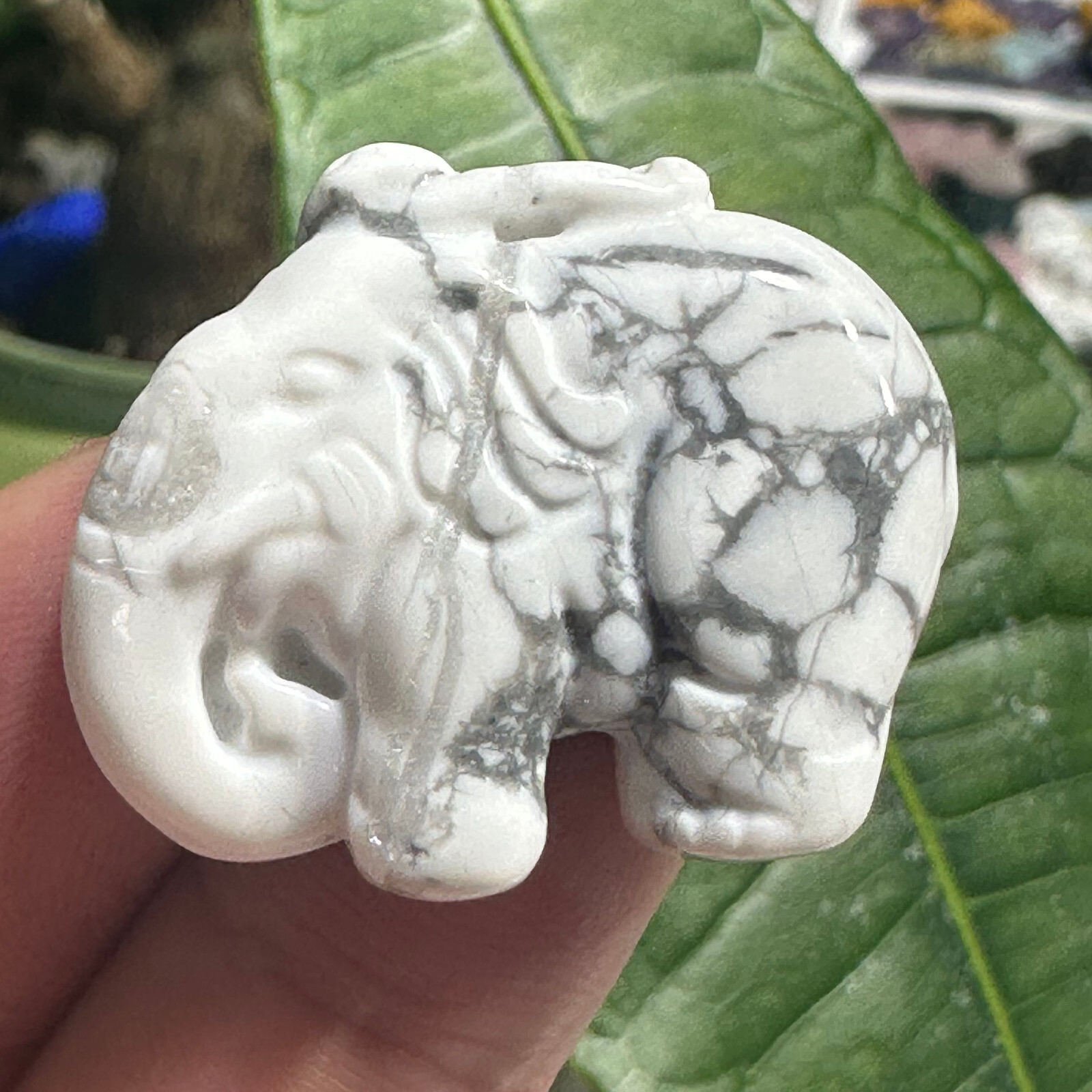 Natural Howlite Elephant Quartz Specimen Skull Crystal Reiki Healing Gift 1PC