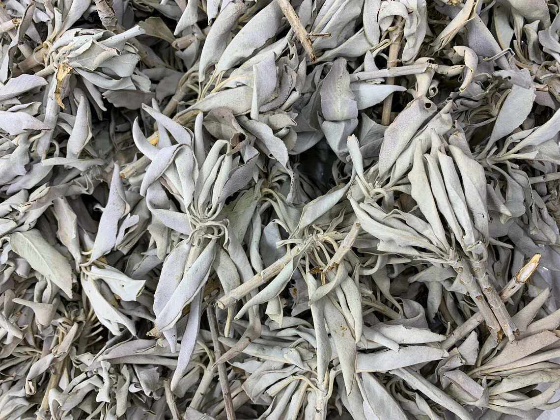White Sage Loose Cluster Bulk (1 pound) NEW 
