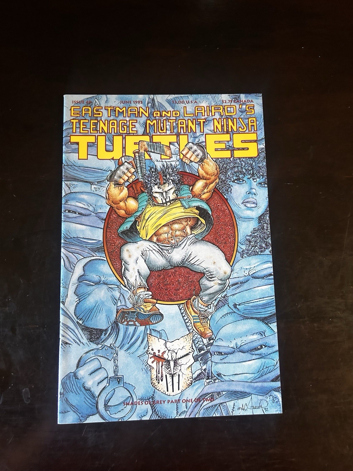 Mirage Teenage Mutant Ninja Turtles #48 1992 NM TMNT Casey Jones Cover
