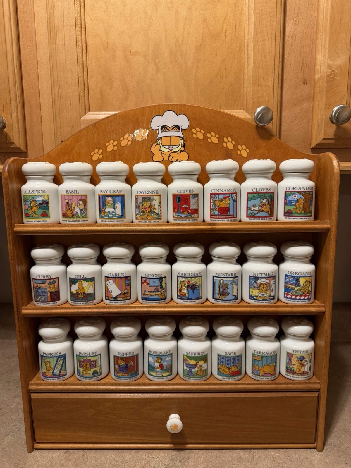 Vintage 1994 Garfield Spice Jar Collection Complete Set w Wood Rack Danbury Mint