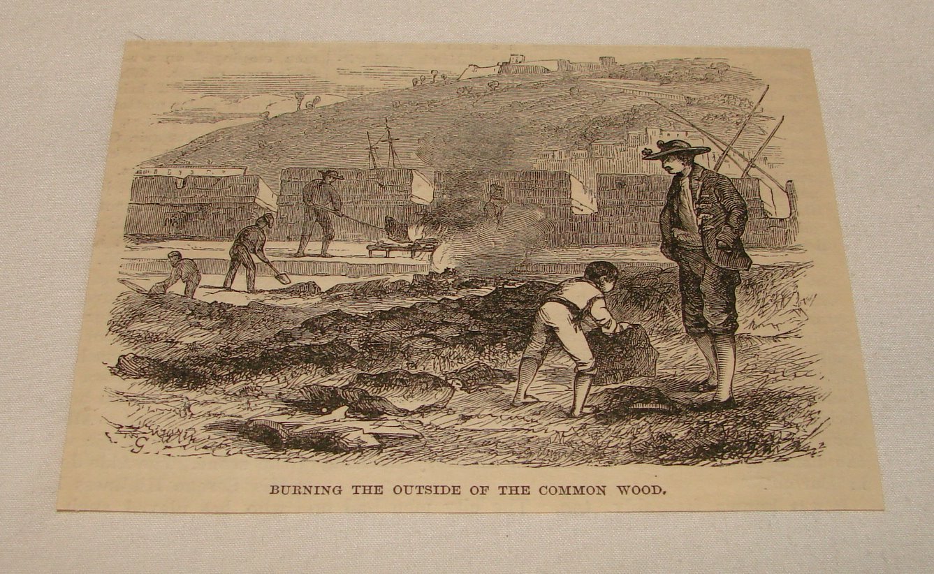 1885 magazine engraving ~ BURNING OUTSIDE OF COMMON WOOD, Spain