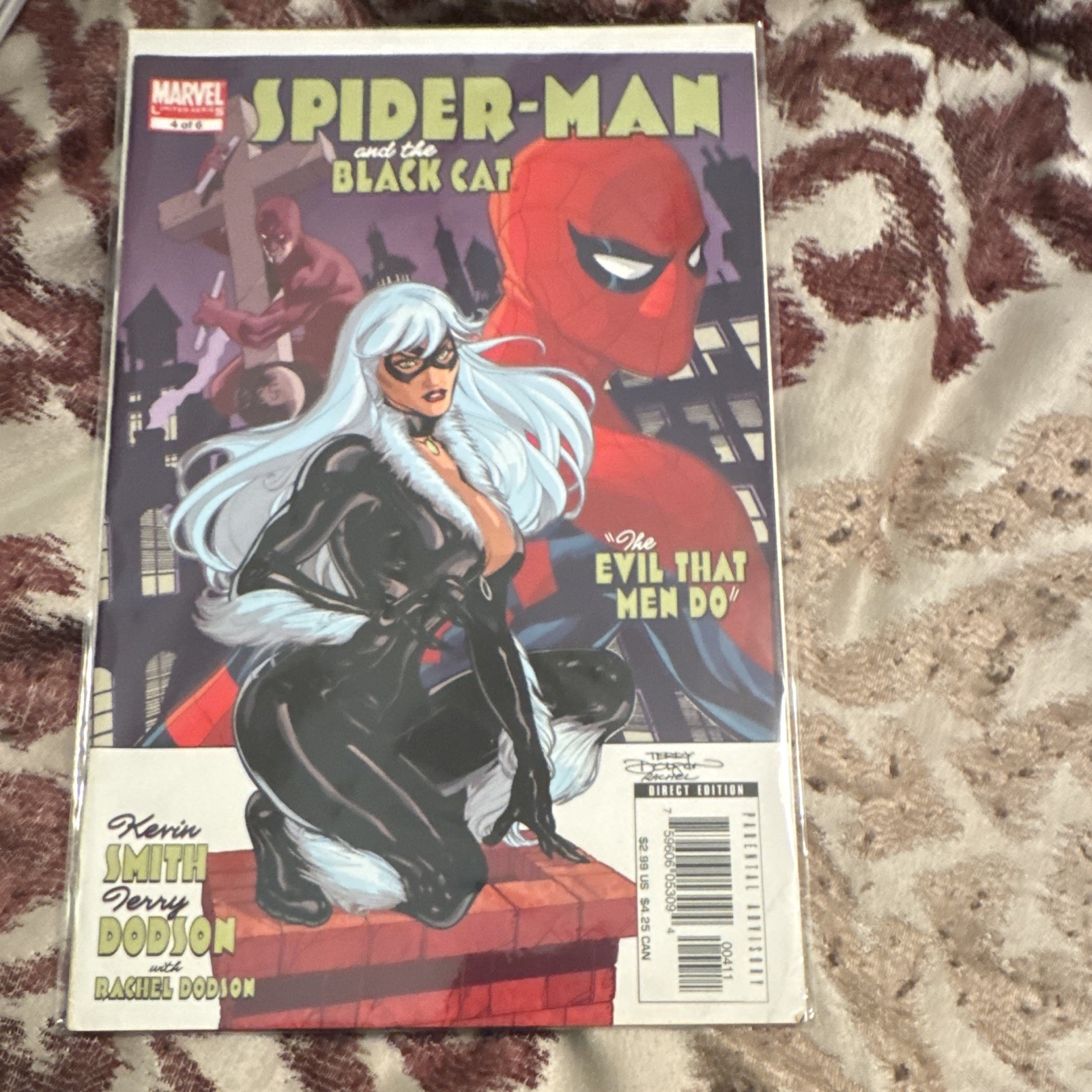 Spider-man And The Black Cat