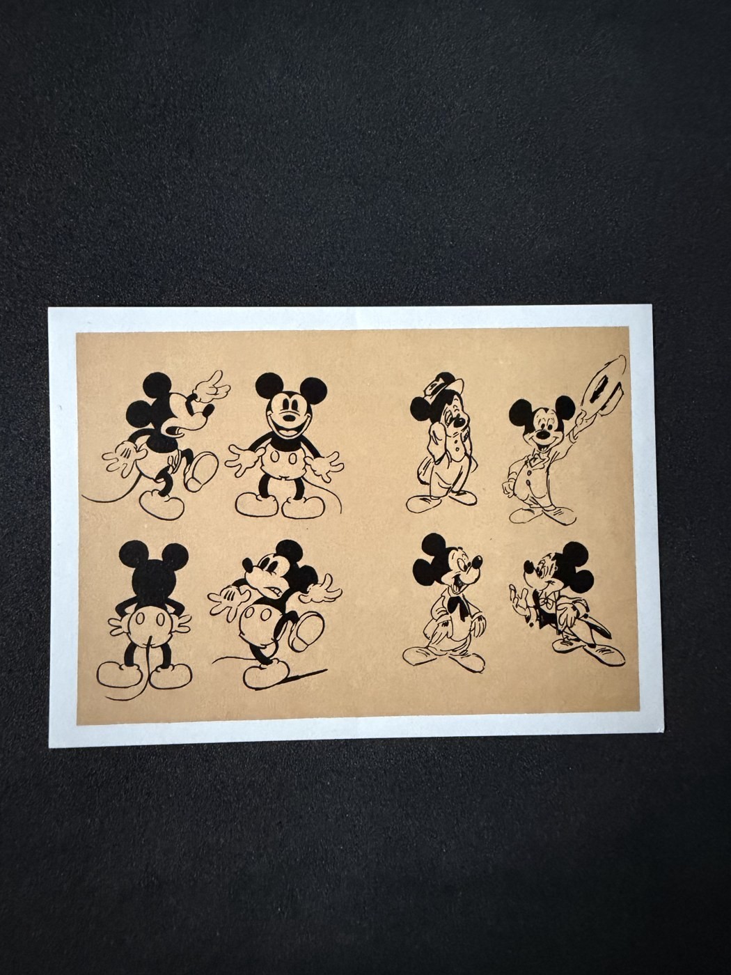 Rare Walt Disney Poulain #6 Mickey Mouse Model Sheet Vintage Chocolate Card