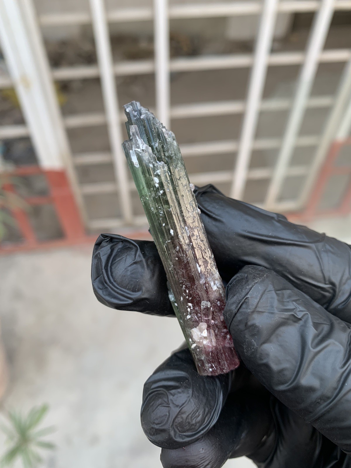 Outstanding Natural Bi colour Tourmaline crystal 