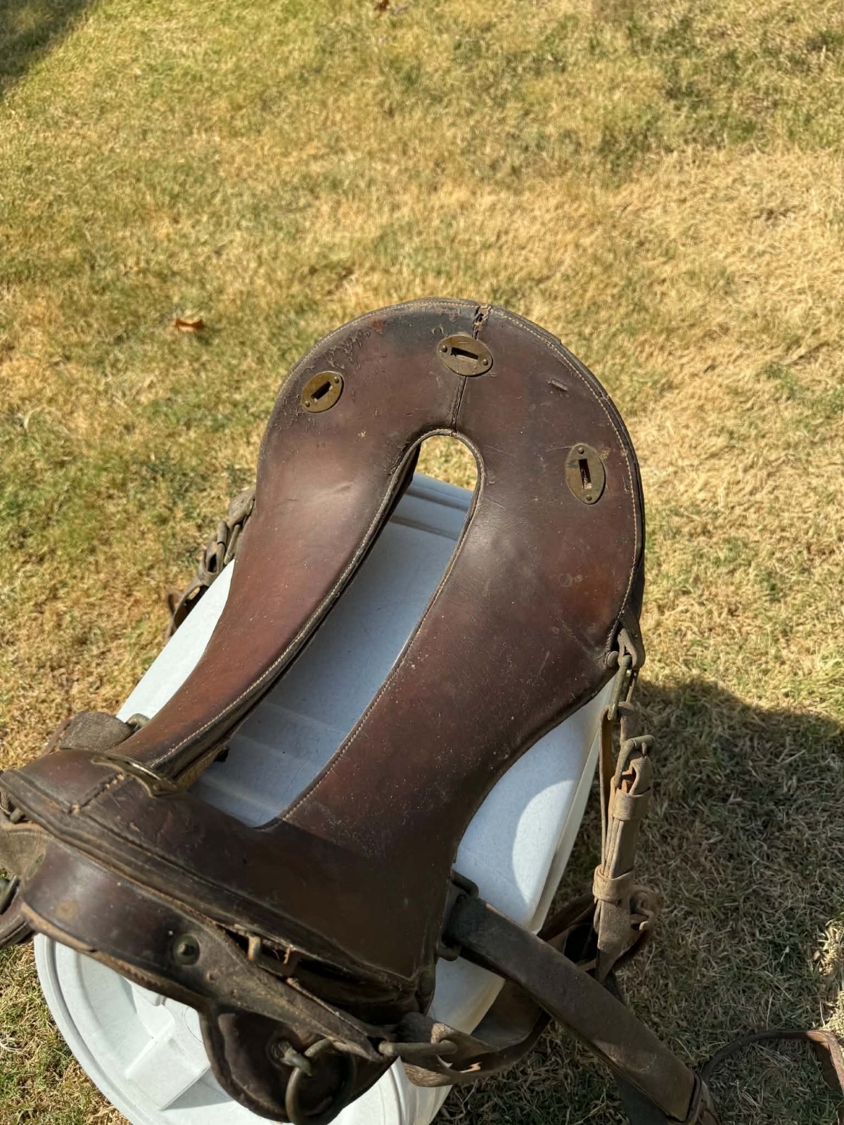 Antique WW1 McClellan Cavalry Saddle 11 1/2 inch