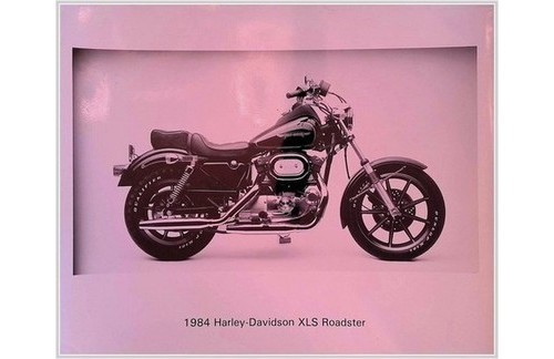 1984 Harley-Davidson XLS Roadster Photo-Sportster Motorcycle-Dunlop Qualifiers
