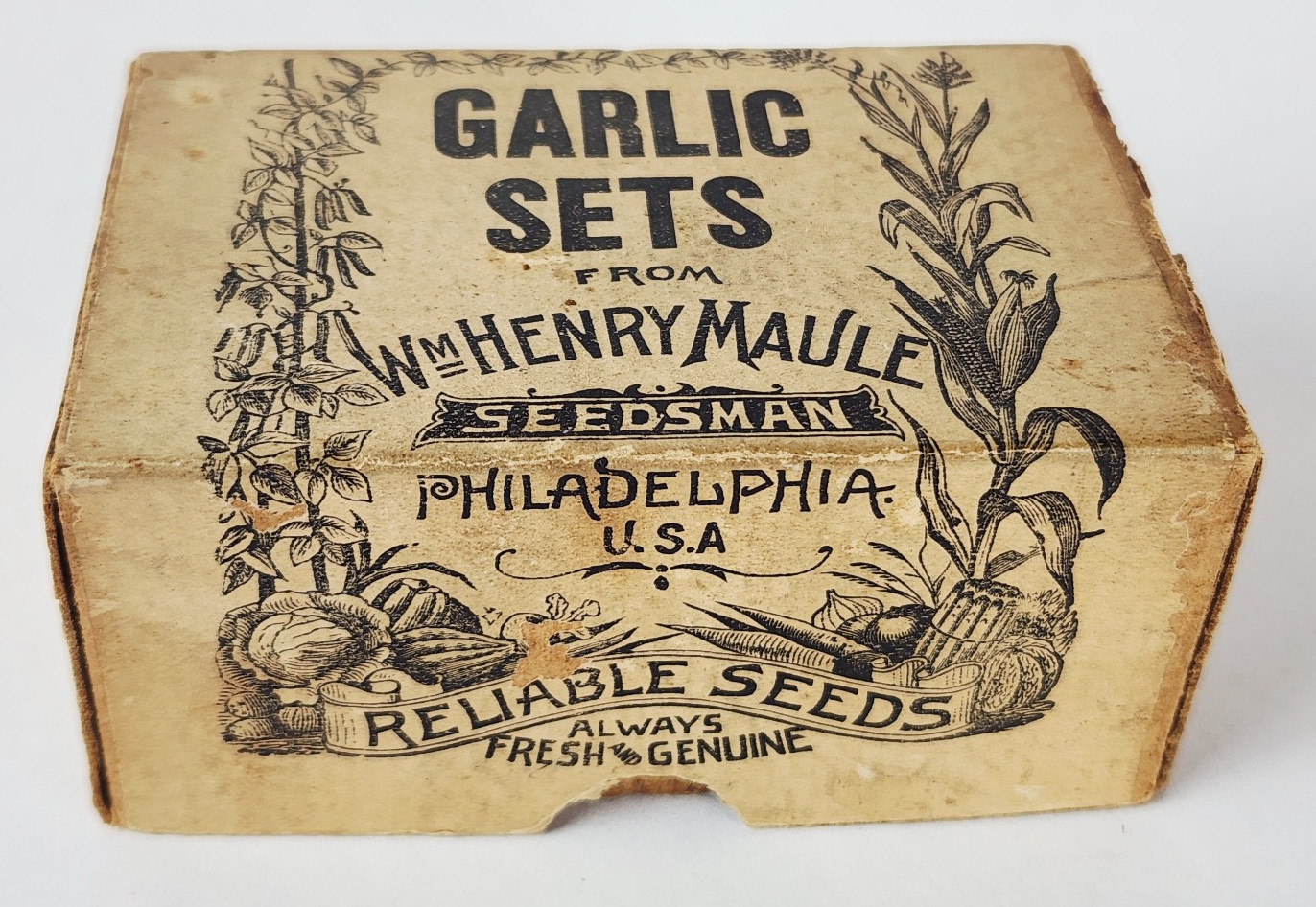 Antique Wm Henry Maule Seedsman Garlic Sets Box / Crate