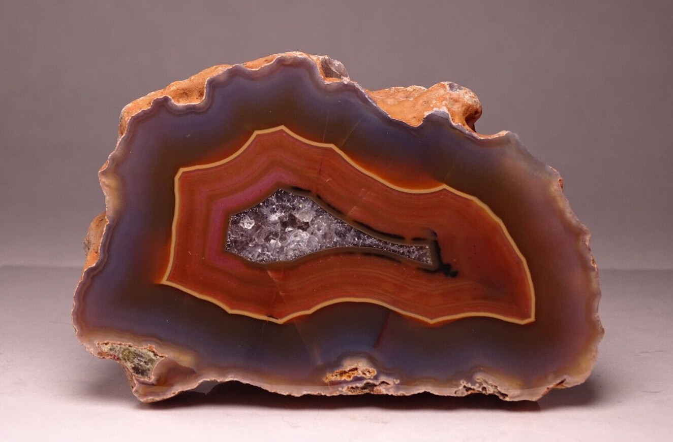 Condor Agate Half Nodule Collector Specimen Argentina