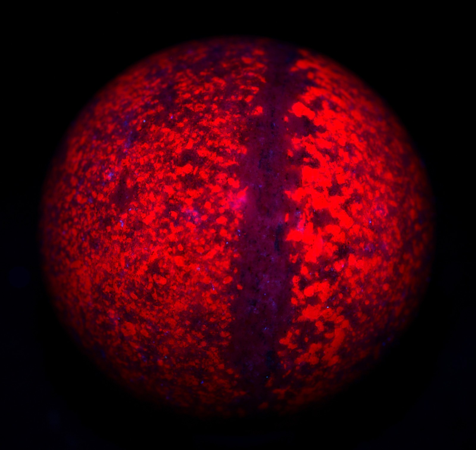 Ruby in Kyanite, polished sphere, fluorescent red. Mysore, India. 376 grams.