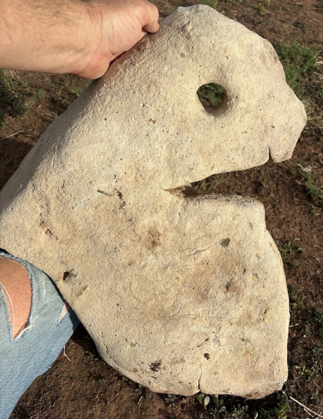 ☘️RR⛏️: The PAC MAN ROCK, Arizona Sandstone Anthropomorphic 49 Lb