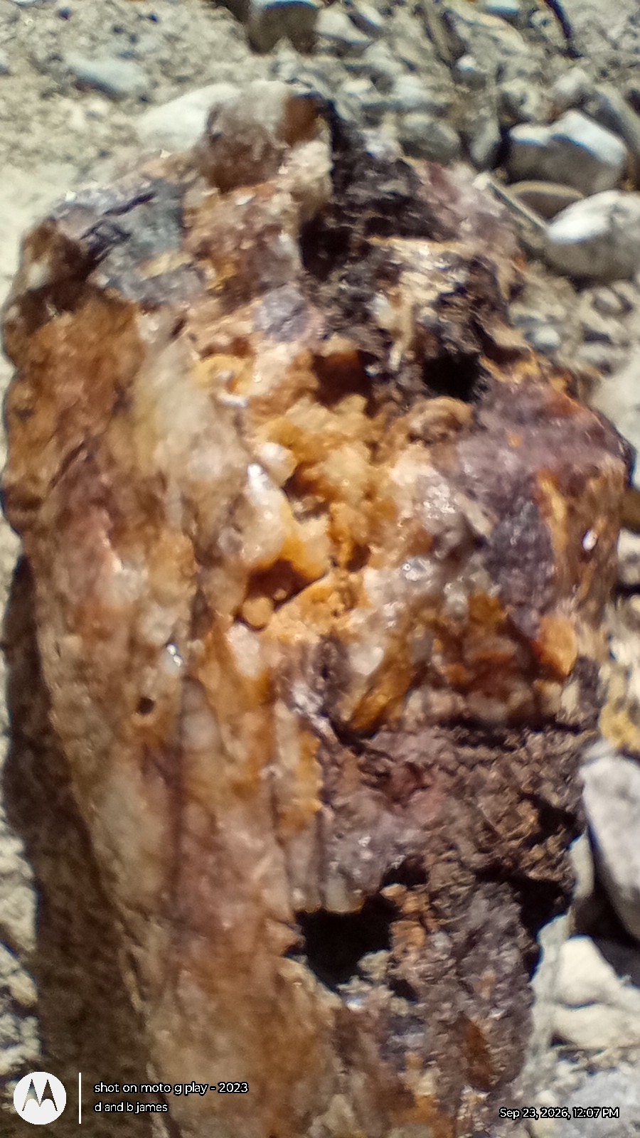 25 Lbs California Gold Ore ** High Grade***