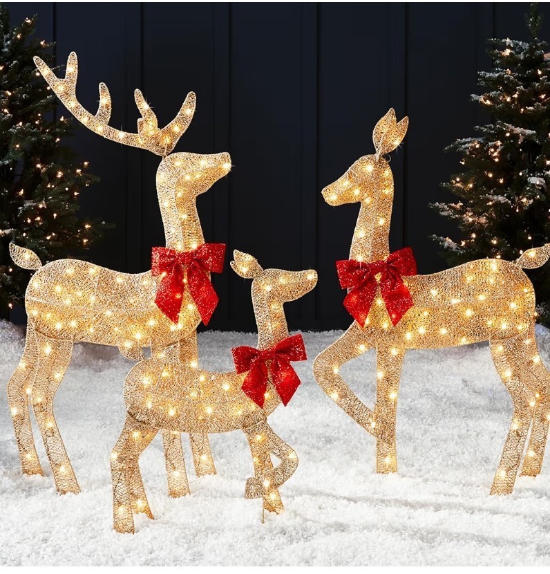 3-Piece Lighted Christmas Reindeer Family Set.
