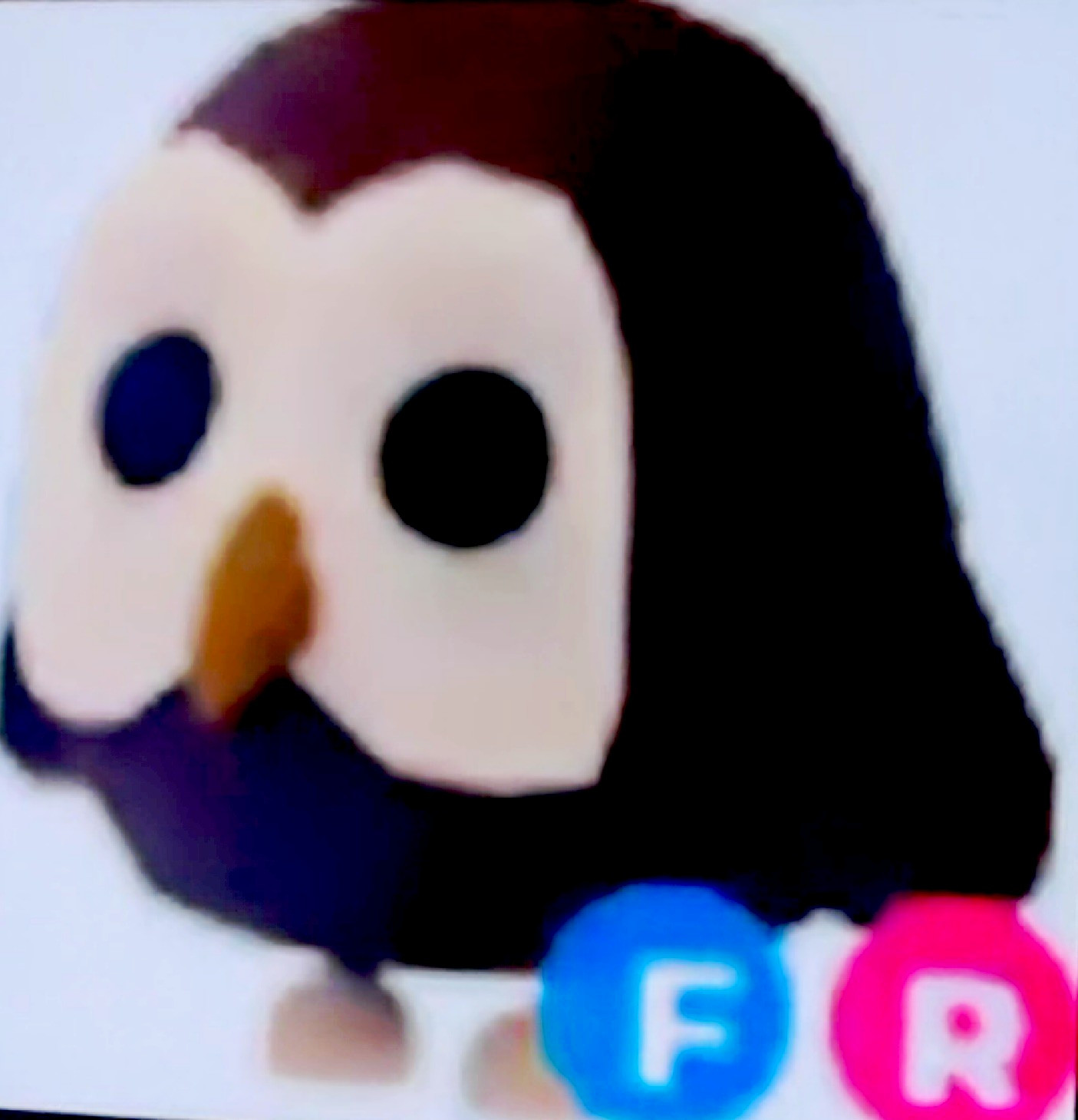 Adopt Me Owl Fly Ride Virtual Pet Collectible w/ Fly Ride Badges