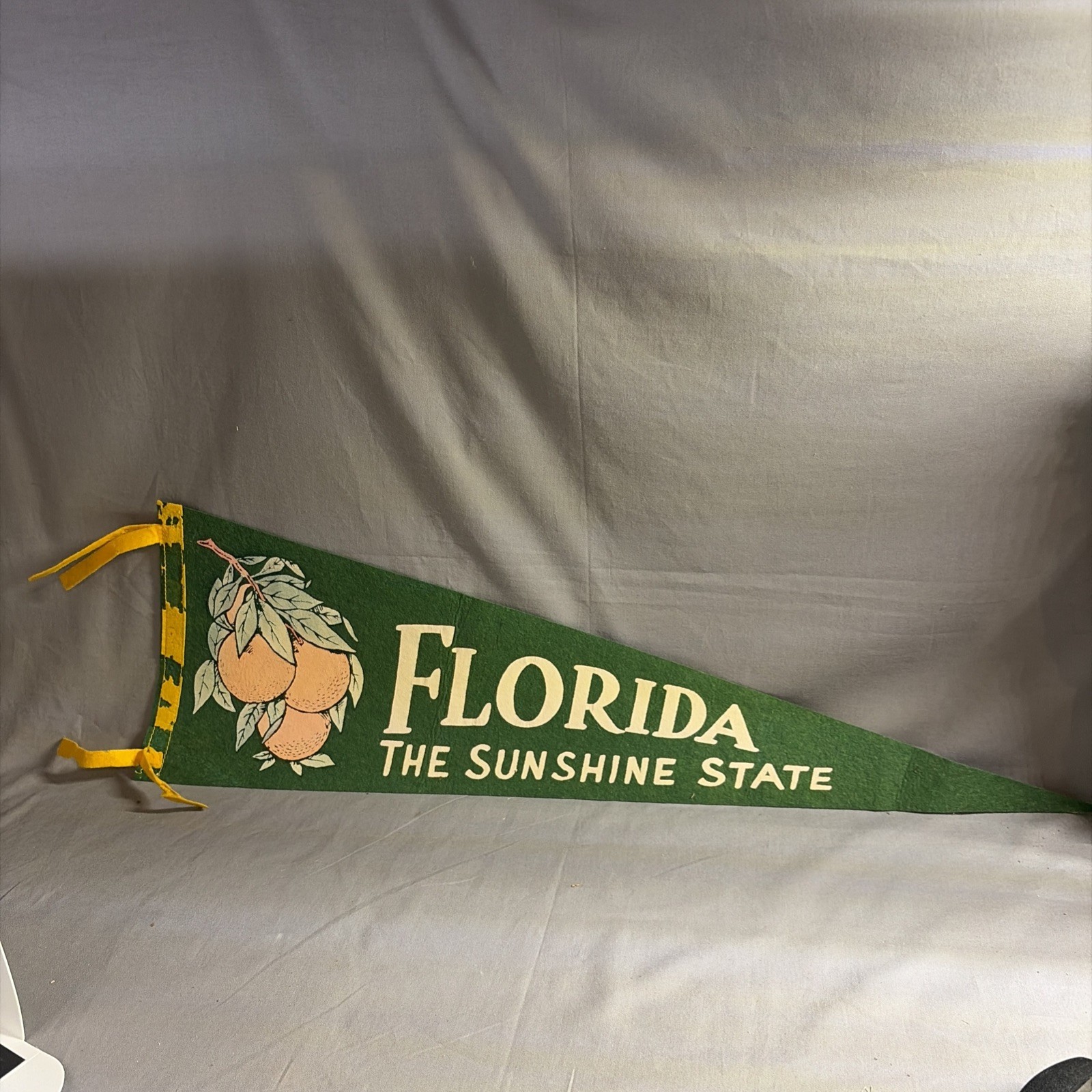 Vintage Florida Oranges The Sunshine State felt Pennant Flag Souvenir