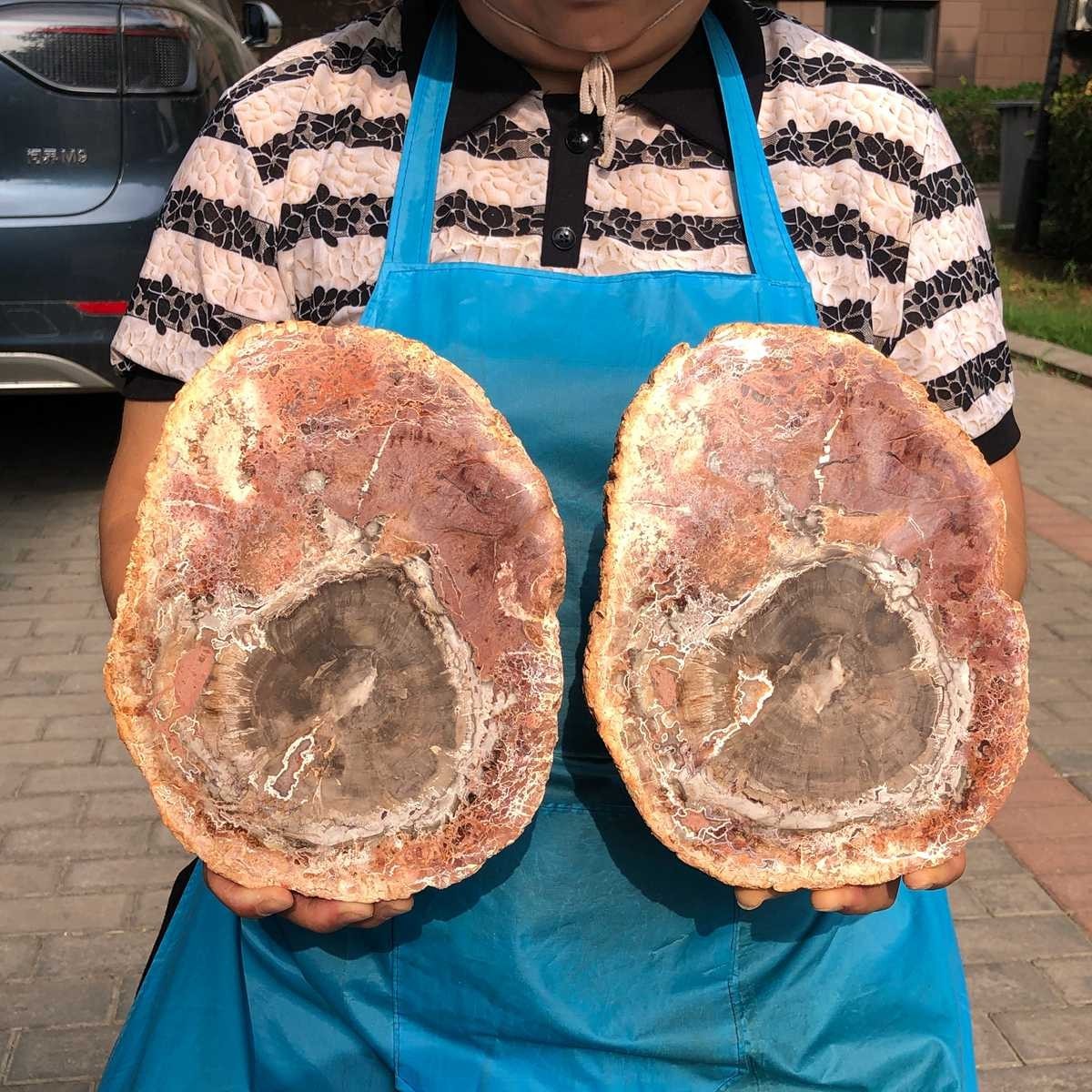 2pcs 7.12LB  Natural Petrified Wood Crystal Fossil Slice Shape Specimen Healing