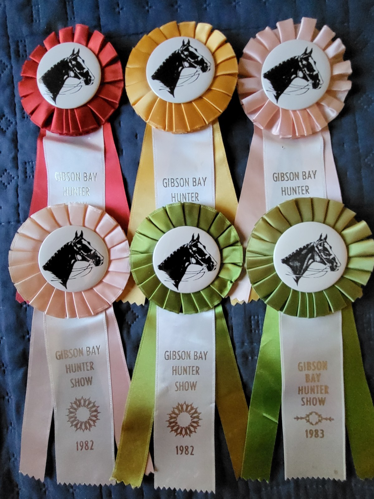 Gibson Bay Hunter Horse Show Ribbons Vintage Awards Equestrian Events 1980\'s
