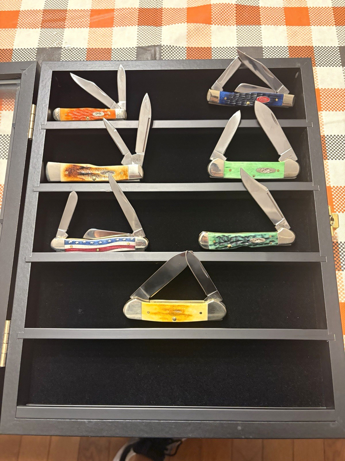 Case Pocketknife Lot of 6 in Display Case, Bone Handles. Includes rare gunstock Case Pocketknife Lot of 6 in Display Case, Bone Handles. Includes rare gunstock