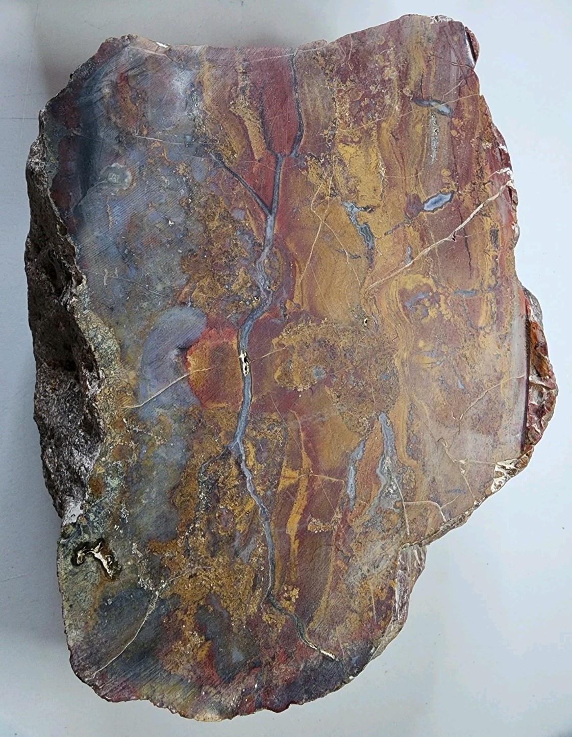 Petrified Wood Rough Nice Color 10 Lb